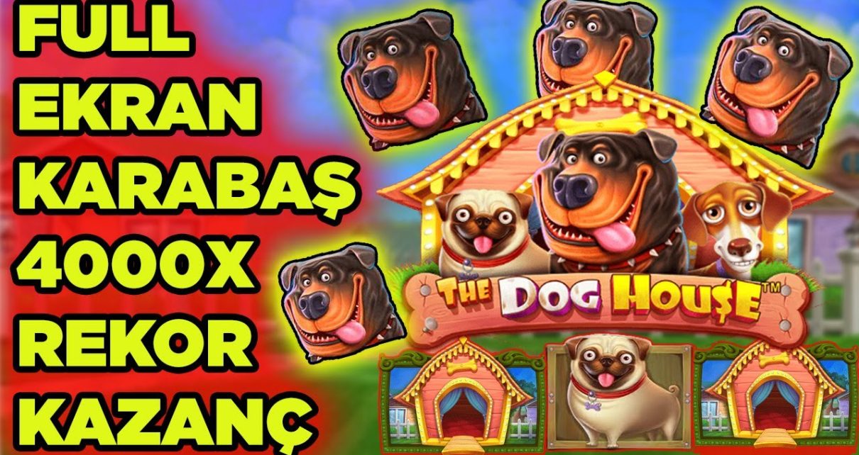 DogHouse l Rekor Kırıldı , 4000x – Mükemmel Kazançı