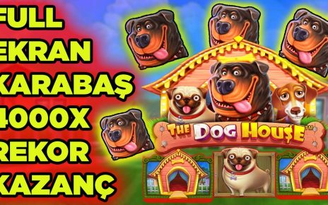 DogHouse l Rekor Kırıldı , 4000x – Mükemmel Kazanç  #casino #slot #slotoyunları #pragmaticplay