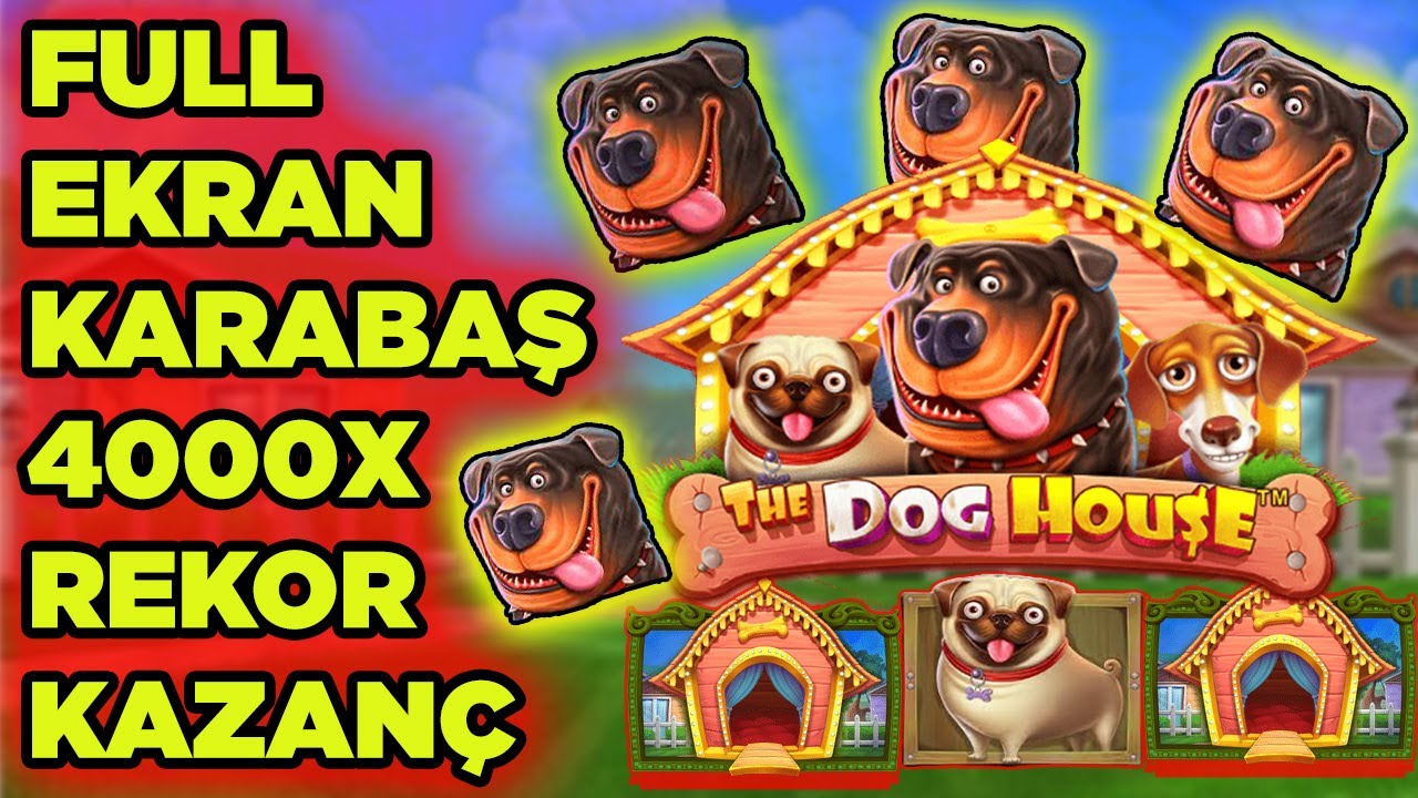 DogHouse l Rekor Kırıldı , 4000x - Mükemmel Kazanç  #casino #slot #slotoyunları #pragmaticplay