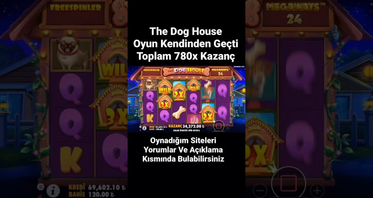 DogHouseı