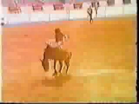 Herb Alpert Tijuana Brass Casino Royale 1968 Original Video