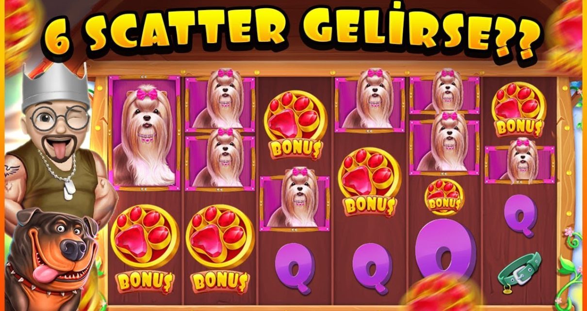 SLOT OYUNLARI ?? THE DOG HOUSE MEGAWAYS ?? TAM 6 SCATTER ??ı