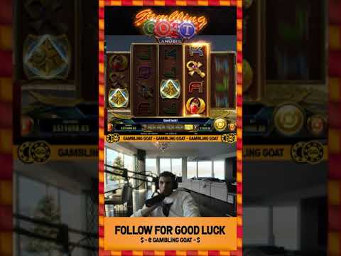 TrainwrecksTV Missed a 4 meg Hit | Online Gambling Highlights