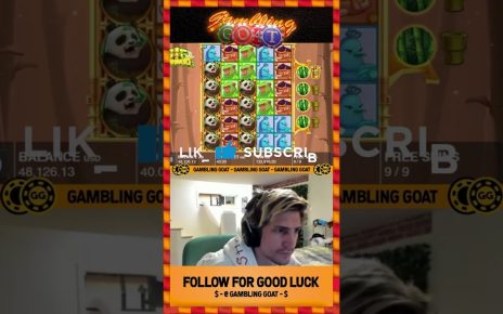 Xqc “Holy Sh*t That's Huge!” | Online Gambling Highlights #shorts