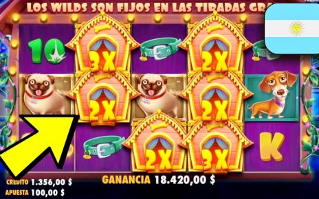 Saldo 00, Bet 0 / ¿Cuánto ganaré en “The Dog house”? Casino online en Argentina 2023