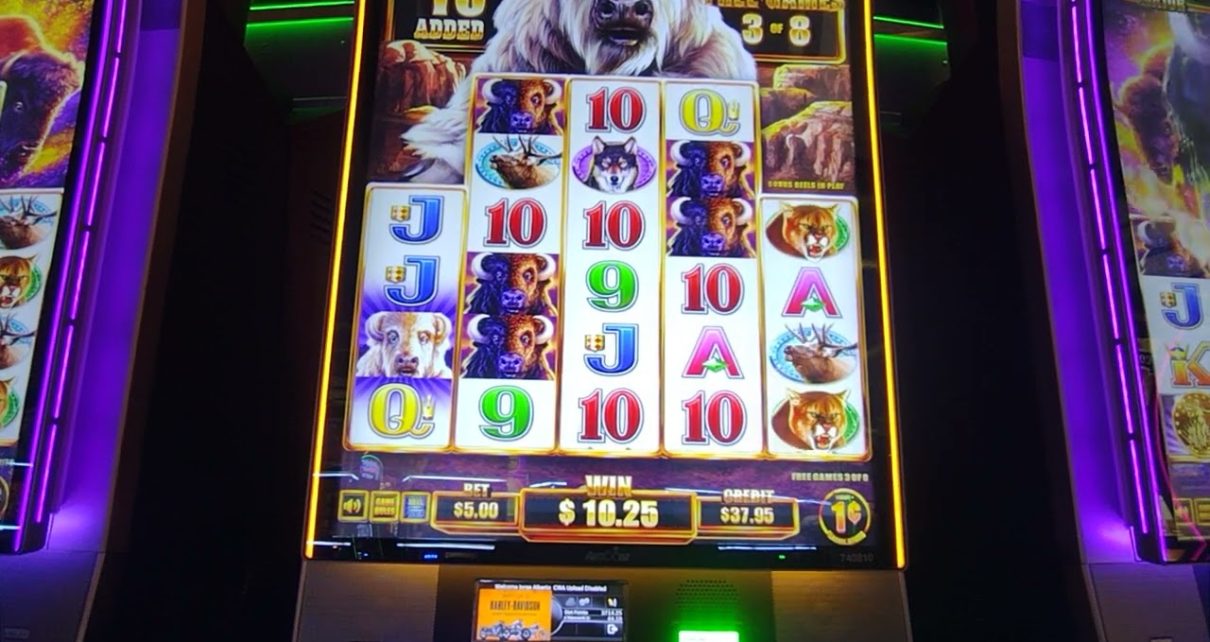 jugando ????? buffalos con JJK en yamaava resort casino