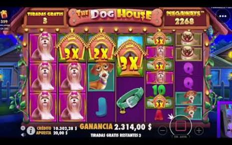 1.300x ? Dog House ? DAILY TOP MEGA WINS IN ONLINE CASINO