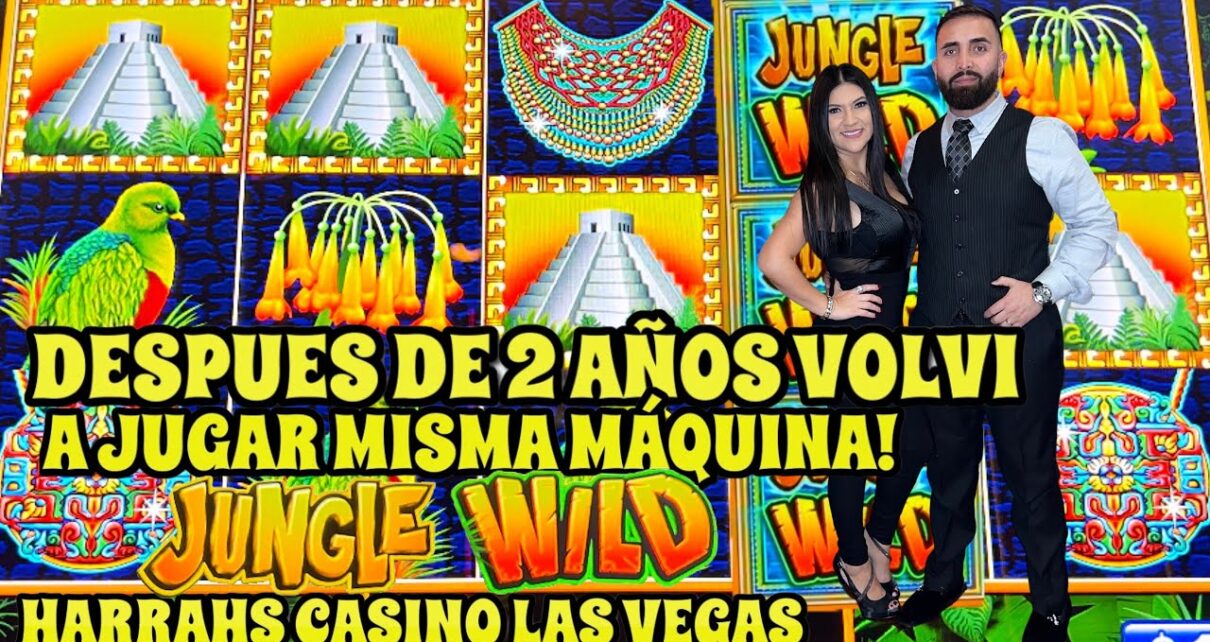 ? JUNGLE WILD MAX BET ! VOLVI A LA MISMA MAQUINA DESPUES DE 2 AÑOS