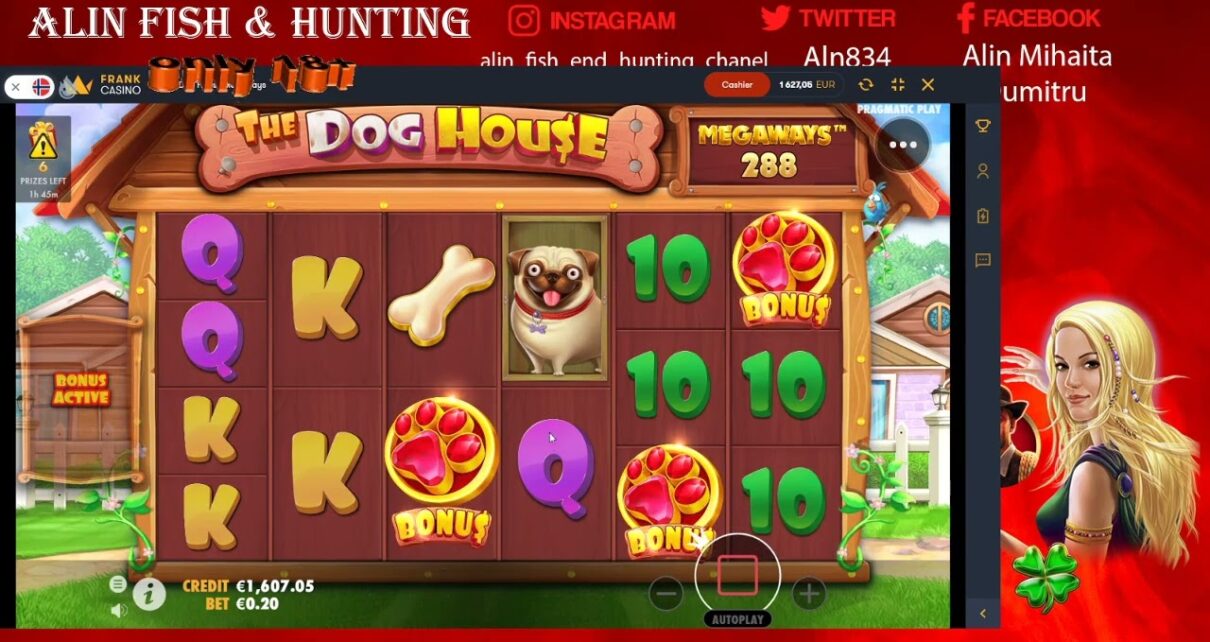 gambling online casino Dragon fall si o plata buna  1735 X ,like  merita vazut grup fecbok decsriere