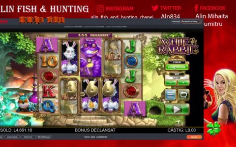 gambling online casino !! merita vazut un dublaj frumos la book of dead  like