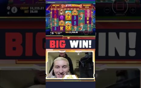 1253X on DOG HOUSE MEGAWAYS Slot by tpvillain! Big win casino