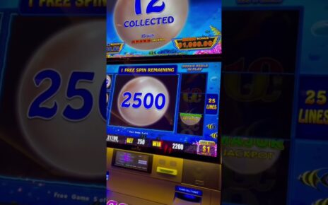 0 Max Bet JACKPOT In Las Vegas Casino