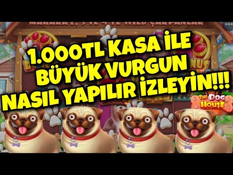 Dog House l Küçük Kasamızı Büyük Katladık!!!  #doghouse #slot #doghousemegaways #casino #vurgun