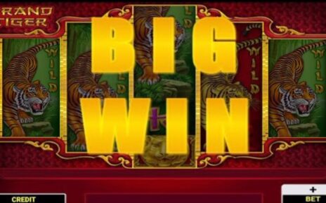 GRAND TIGER CASINO BIG WIN ? /AND CRAZY TIME IN *40 BONUSSPINS ??