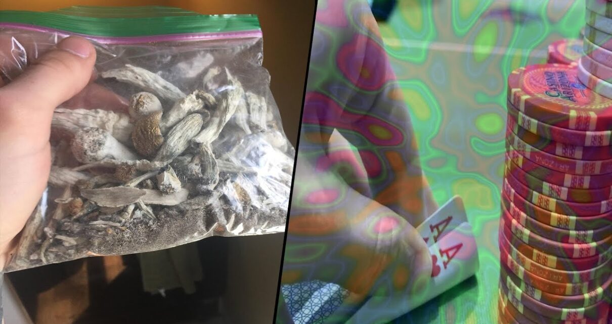 Taking Shrooms at the Casino