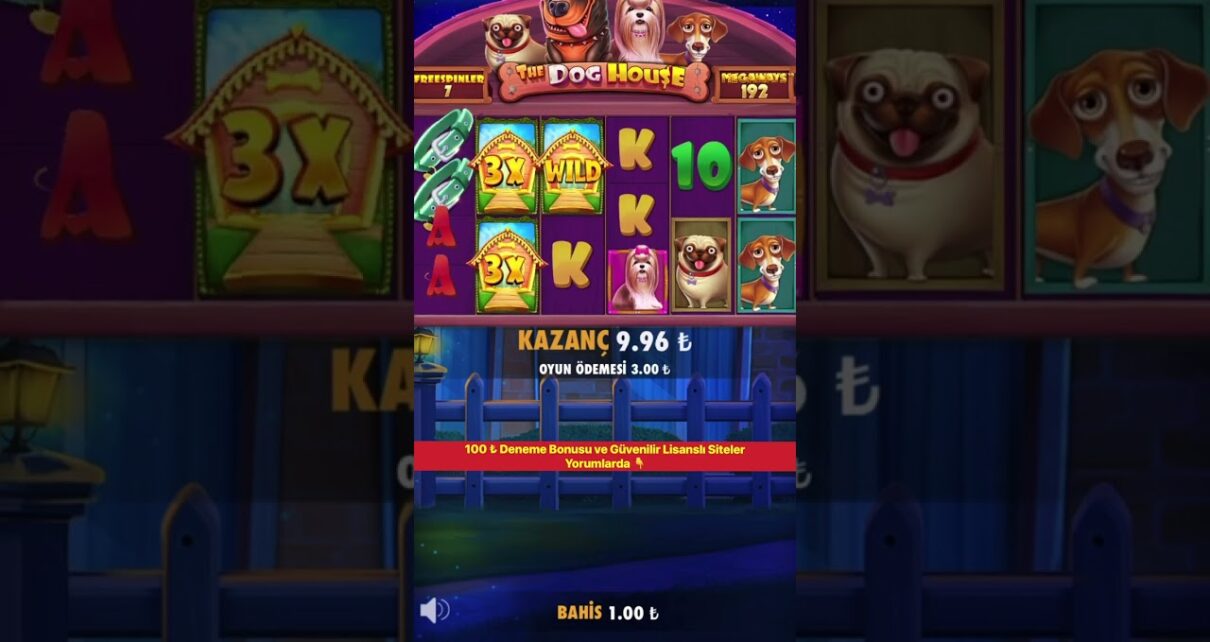 Tek Spinde Karabaşlı 5000x İzlediniz Mi ? – The Dog House Megaways Rekor – #casino #slot #shorts