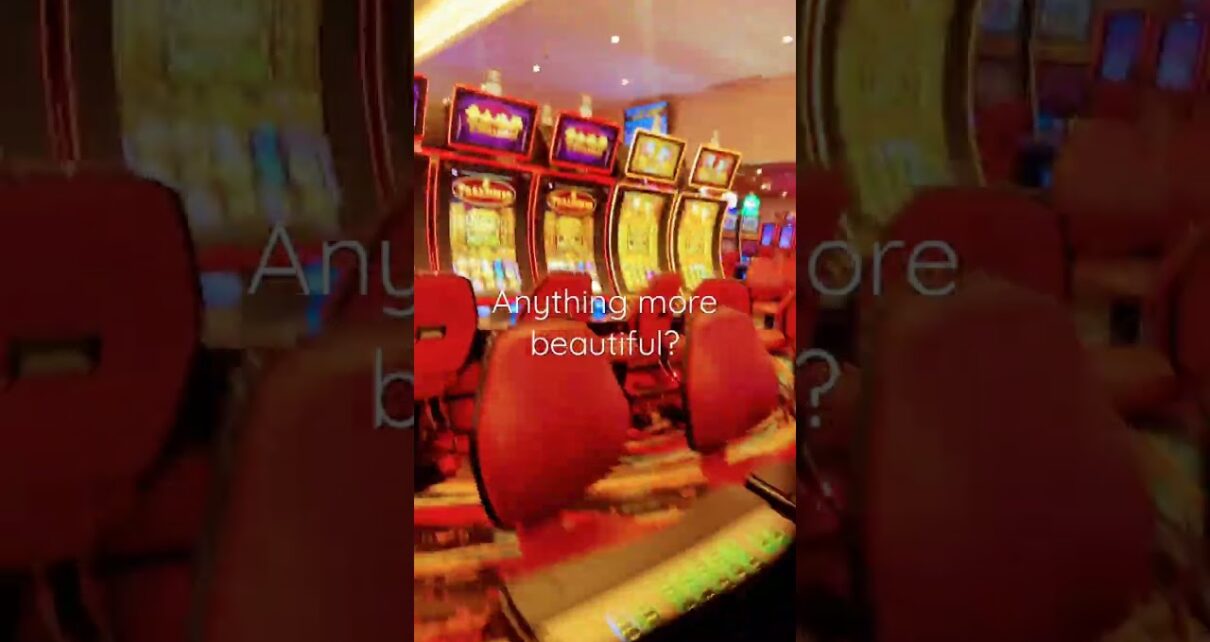WE LIVE FOR THE CASINO!