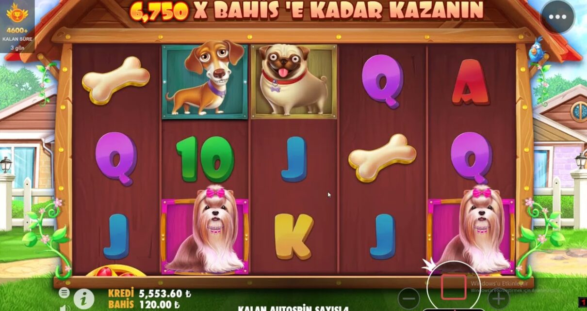 DOG HOUSE | SONUNDA KASA UZAYDA EFSANE WİN KRAL GERİ DÖNDÜ #slot #casino #doghouse #doghousemegaways