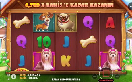 DOG HOUSE | SONUNDA KASA UZAYDA EFSANE WİN KRAL GERİ DÖNDÜ #slot #casino #doghouse #doghousemegaways