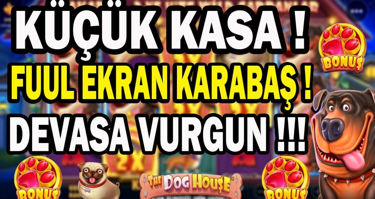 DogHouse l Küçük Kasayla Büyük Vurgun Geldi ! #Slot #slotvideoları    #casino #pragmaticplay