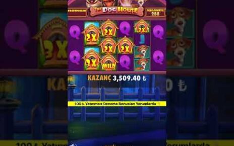 Full Ekran Wild Görünce Ne Hissediyorsunuz ? – The Dog House Megaways Rekor -#casino #slot #shorts