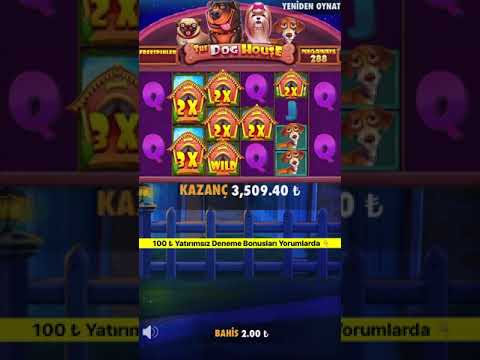 Full Ekran Wild Görünce Ne Hissediyorsunuz ? – The Dog House Megaways Rekor - Full Ekran Wild Görünce Ne Hissediyorsunuz ? – The Dog House Megaways Rekor -