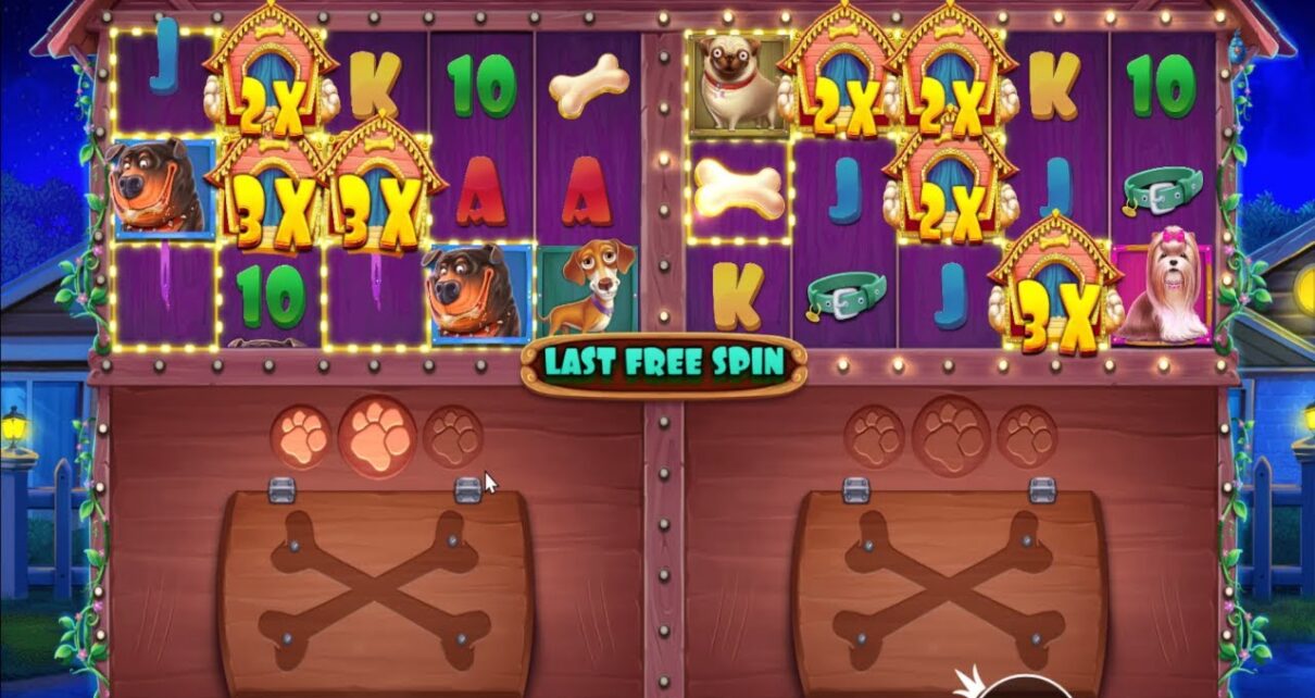 THE DOG HOUSE MULTIHOLD BRAND NEW GAME – ONLINE CASINO – BONUS BUY