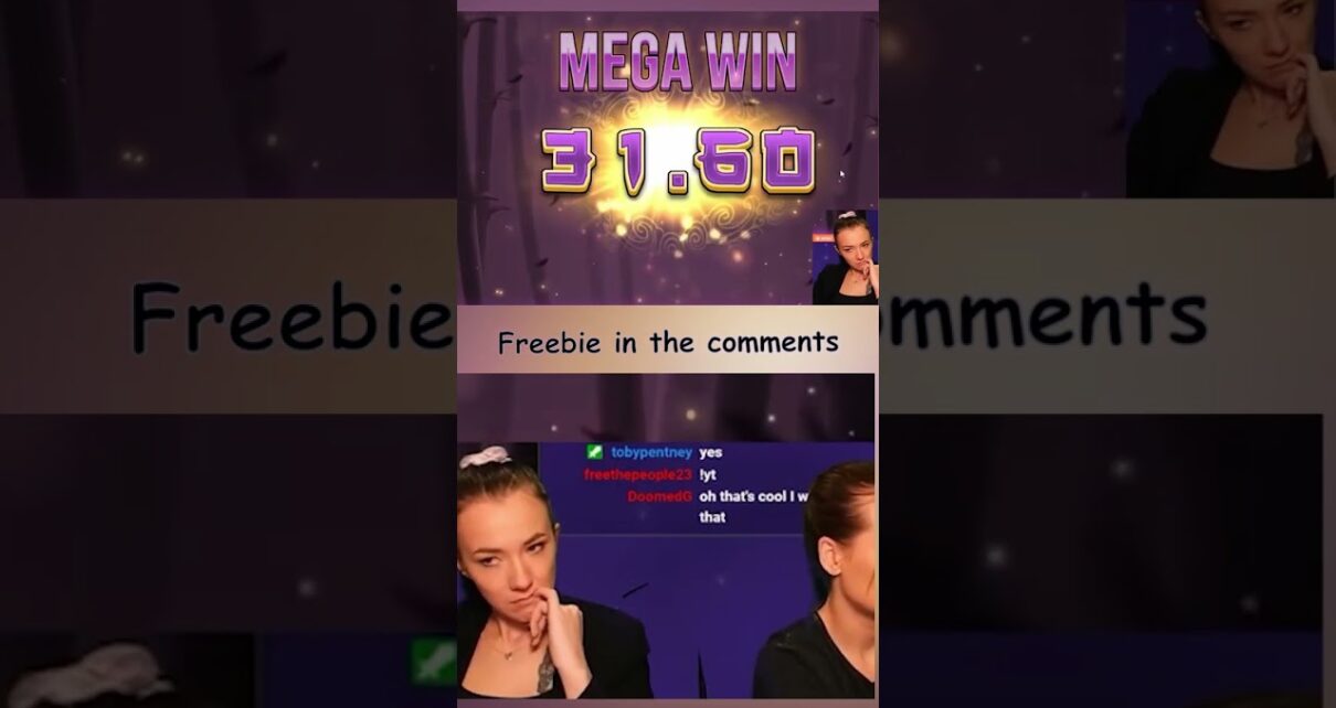 streamers spin the Big Bamboo slot in an online casino | Big win | Casino slots