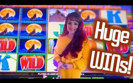 Cleopatra & Wolf Run! Gambling at Hard stone Tampa Casino! ?