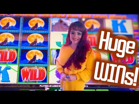Cleopatra & Wolf Run! Gambling at Hard stone Tampa Casino! ?