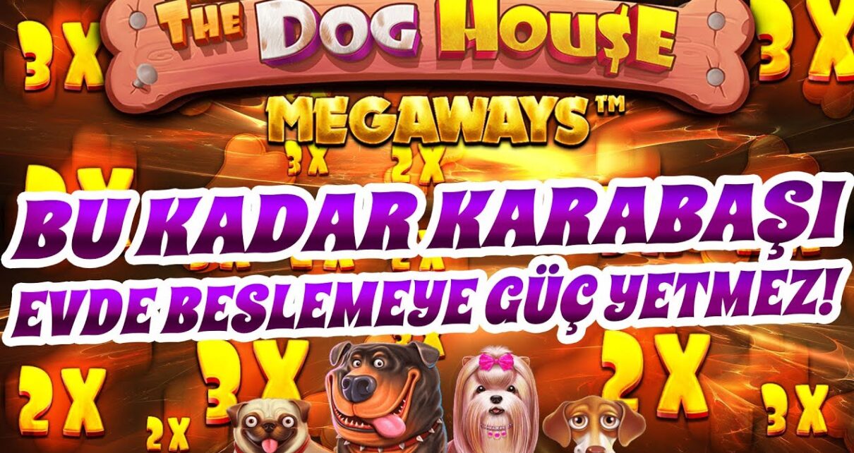 DOG HOUSE MEGAWAYS | ? KALP DAYANMAZ AĞA EFSANE WİN YİNE ESİYORUZZZZZ?