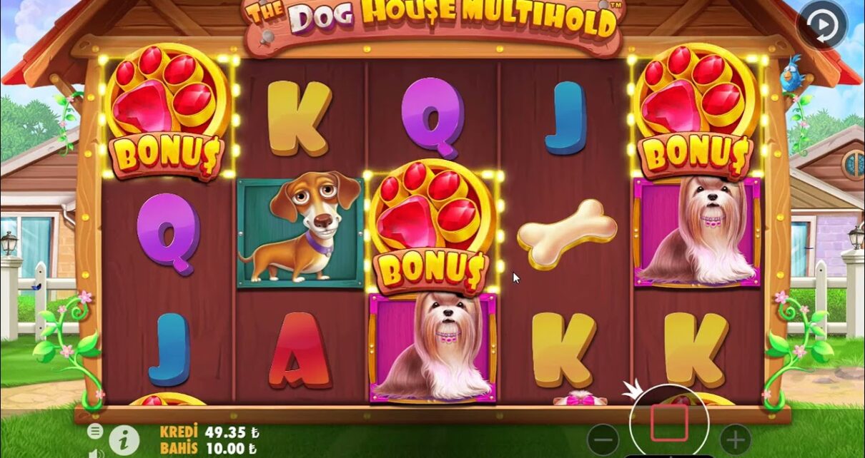 DOG HOUSE MEGAWAYS MULTIHOLD | ?BEKLENMEDİK ANDA BEKLENMEDİK SONUÇLAR?
