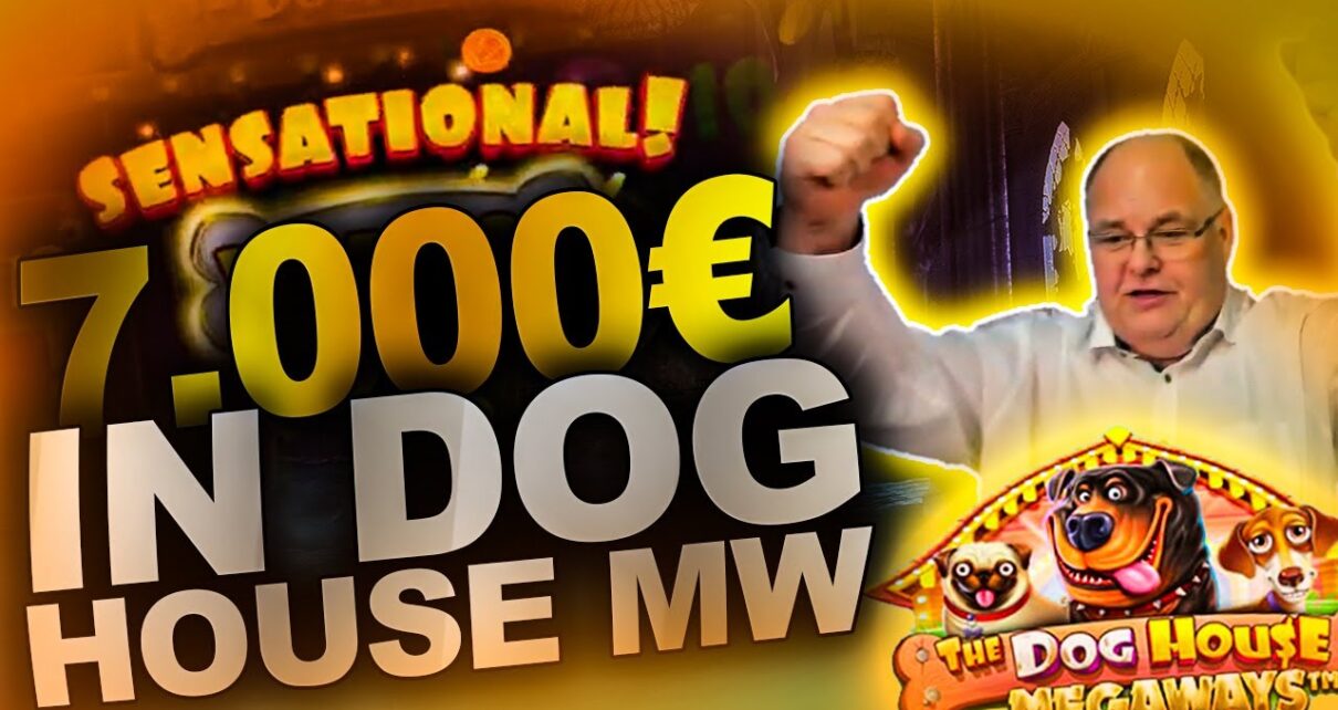 ?INSANE ?7.000€ IN DOG HOUSE MW?- LEGENDARY WIN ?Online Casino [GER/ENG] [18+] ?Jokersworld