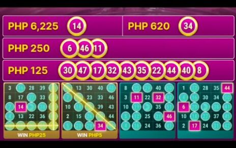 MEGA BALL BINGO ONLINE CASINO. DAMING PURO