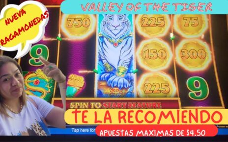 ?NUEVA TRAGAMONEDAS VALLEY OF THE TIGER #CASINO?TE LA RECOMIENDO?