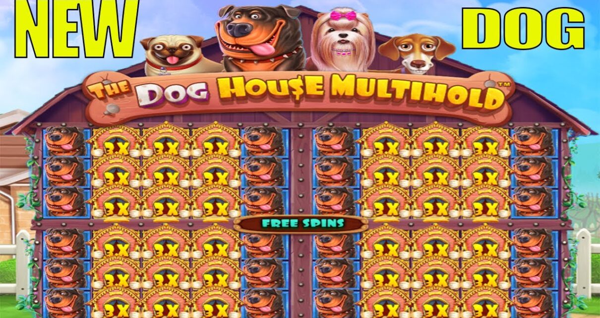 THE DOG HOUSE MULTIHOLD – I opened up ALL FOUR WINDOWS – BIG CASINO WIN BONUS BUY SLOT ONLINE