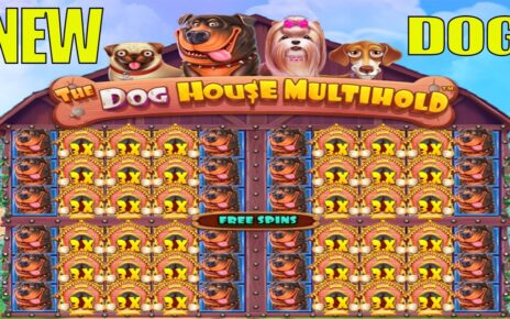 THE DOG HOUSE MULTIHOLD – I opened up ALL FOUR WINDOWS – BIG CASINO WIN BONUS BUY SLOT ONLINE