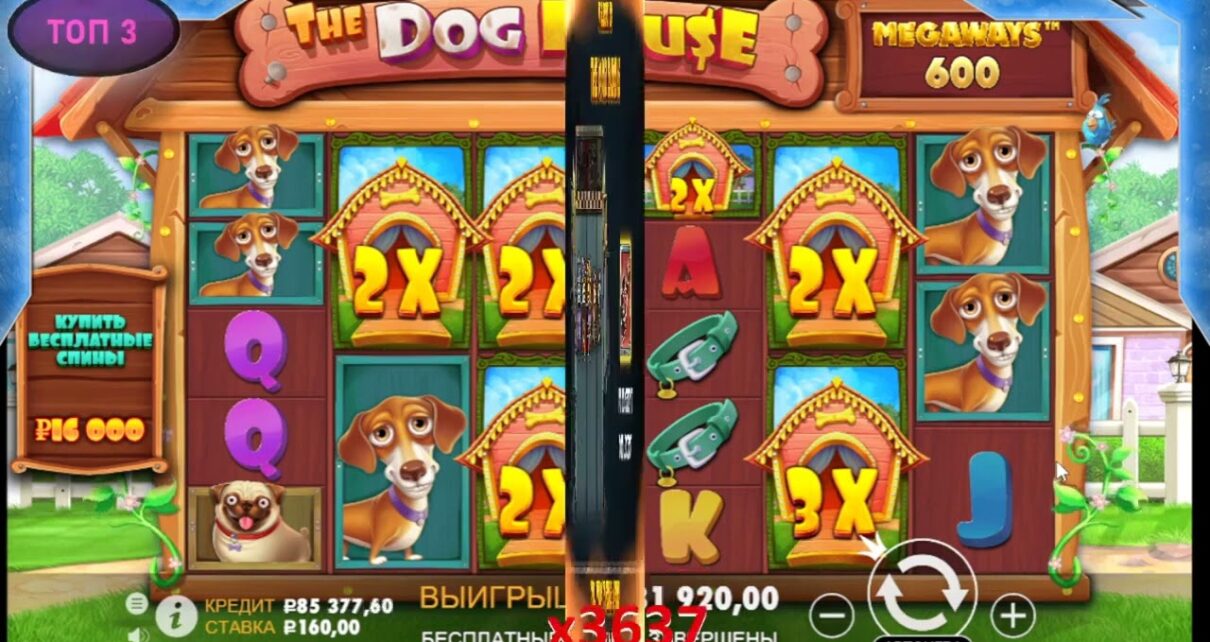 no deposit casino bonus 2023,casino bonus for registration,vawada online casino