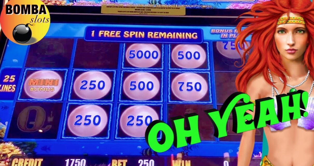  BETS & BONUS MAGIC?!