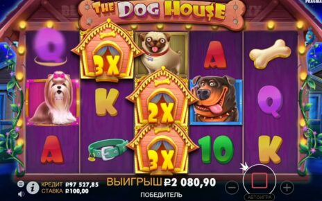 BigWinX500 in The Dog House  Online casino 2022