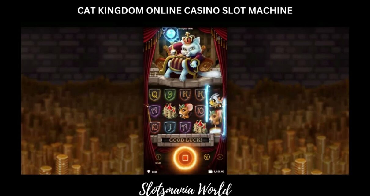 [CAT KINGDOM ONLINE CASINO SLOT MACHINE] BIG WIN! $488 PLUS MULTIPLE WINS & BONUS SPINS! ????