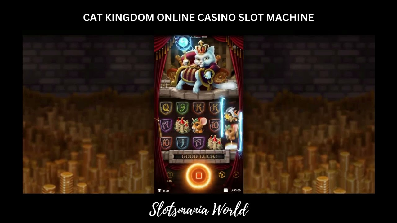 [CAT KINGDOM ONLINE CASINO SLOT MACHINE] BIG WIN! $488 PLUS MULTIPLE WINS & BONUS SPINS! ????