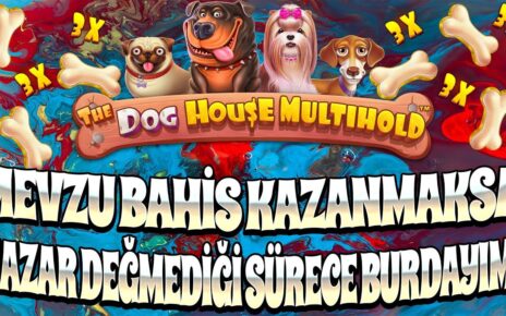 DOG HOUSE MEGAWAYS MULTIHOLD |?HERŞEY YOLUNDA OLMASI GEREKTİĞİ GİBİ !!? #slot #casino #doghouse