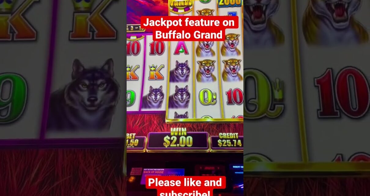 Jackpot feature on Buffalo Grand!