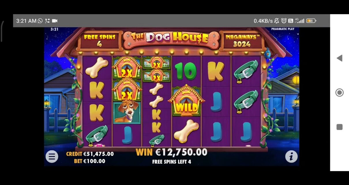 online casino dog house jackpot sensational win