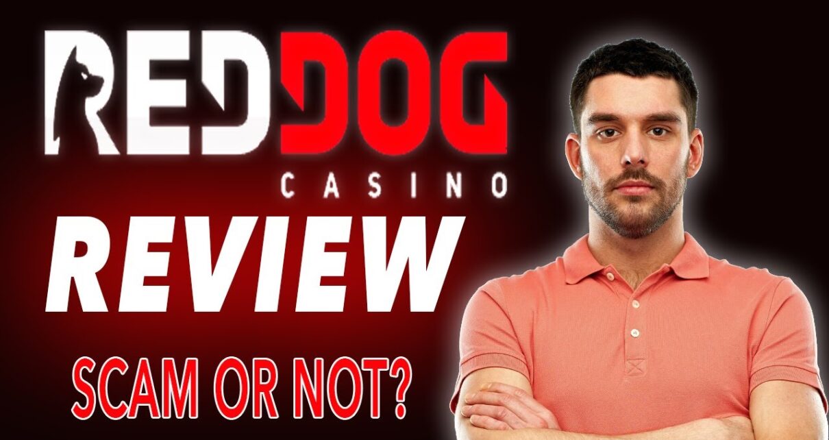 reddish Dog Casino Review ? Is reddish Dog Casino a Safe Online Casino Choice in 2023?