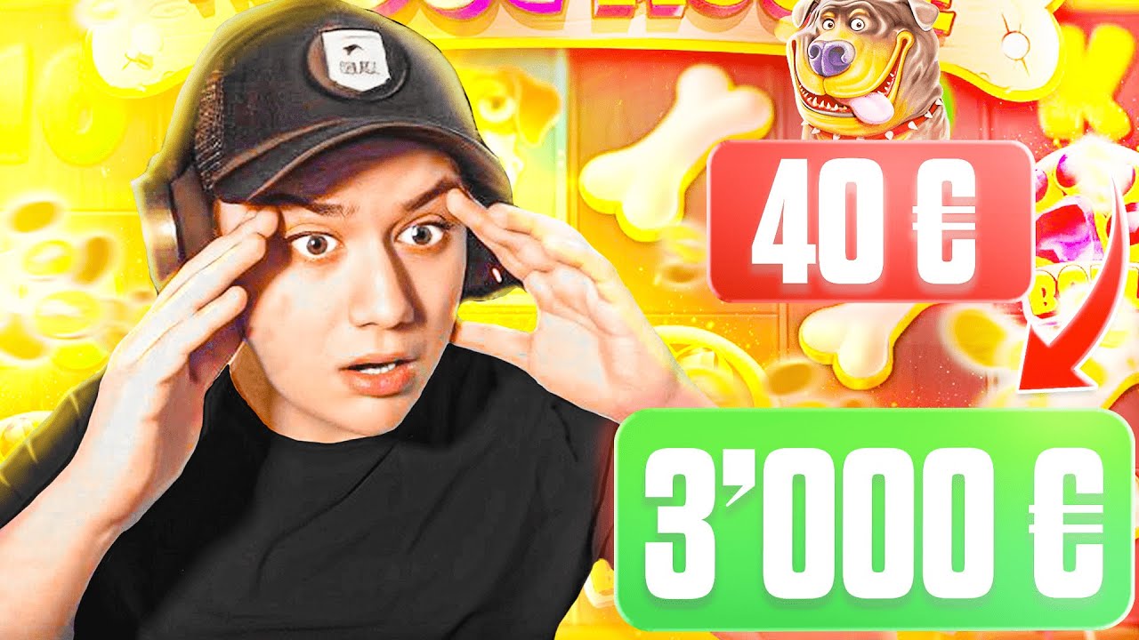 ? 40€ ➡ 3000€,  DOG HOUSE ME CARRY (BEST OF CASINO #12)