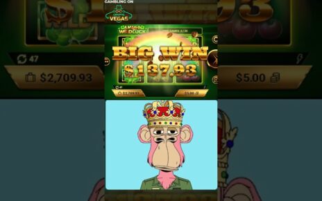 Biggest Online Casino Win Ever: Ape2896 Dominates at Top Crypto Casino in Latest Slots Game