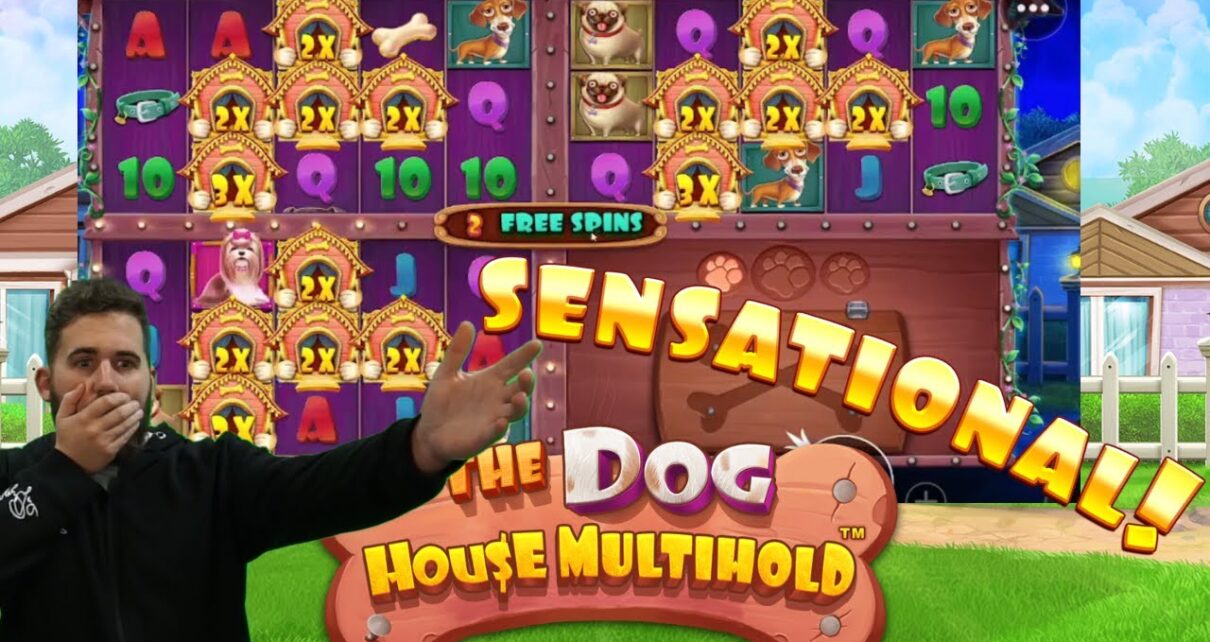 DOG HOUSE MULTIHOLD ⚡MEGA SETUP ⚡Bonusheroes⚡Online Casino Highlight
