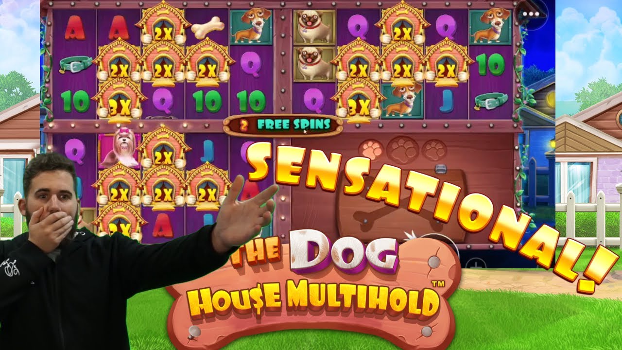 DOG HOUSE MULTIHOLD ⚡MEGA SETUP ⚡Bonusheroes⚡Online Casino Highlight